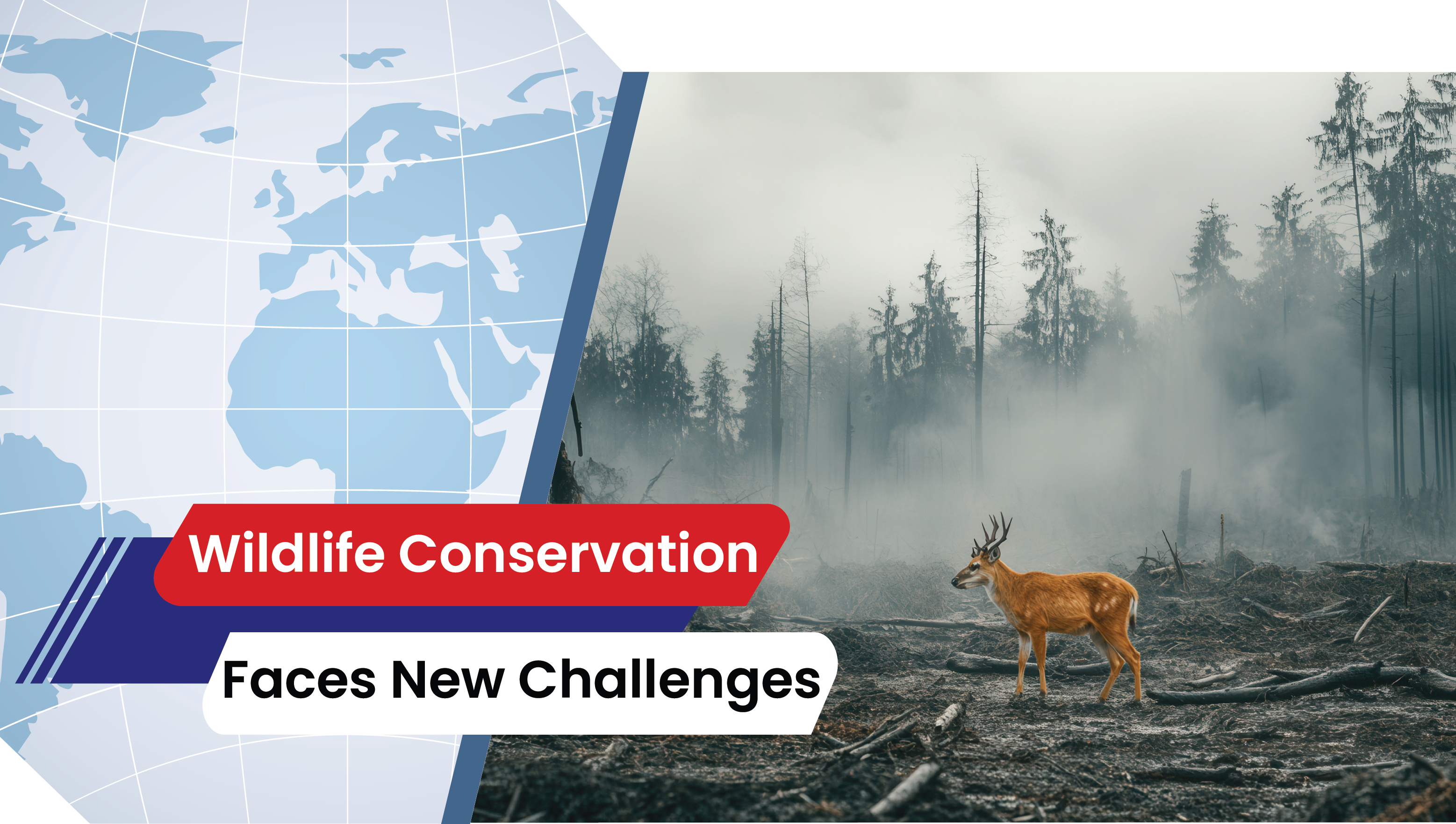 Lesson 29: Wildlife Conservation Faces New Challenges