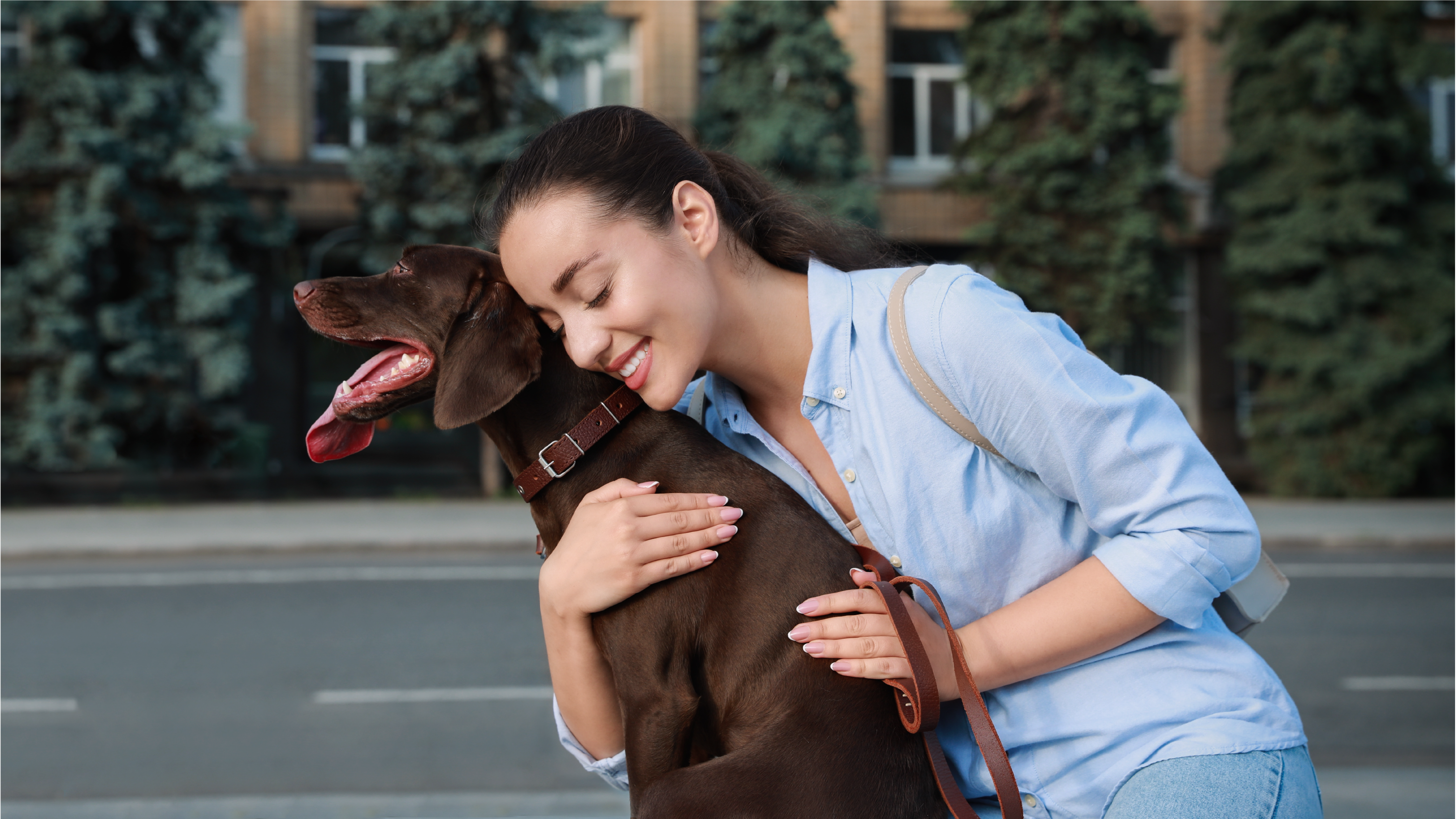 HUGGING DOG