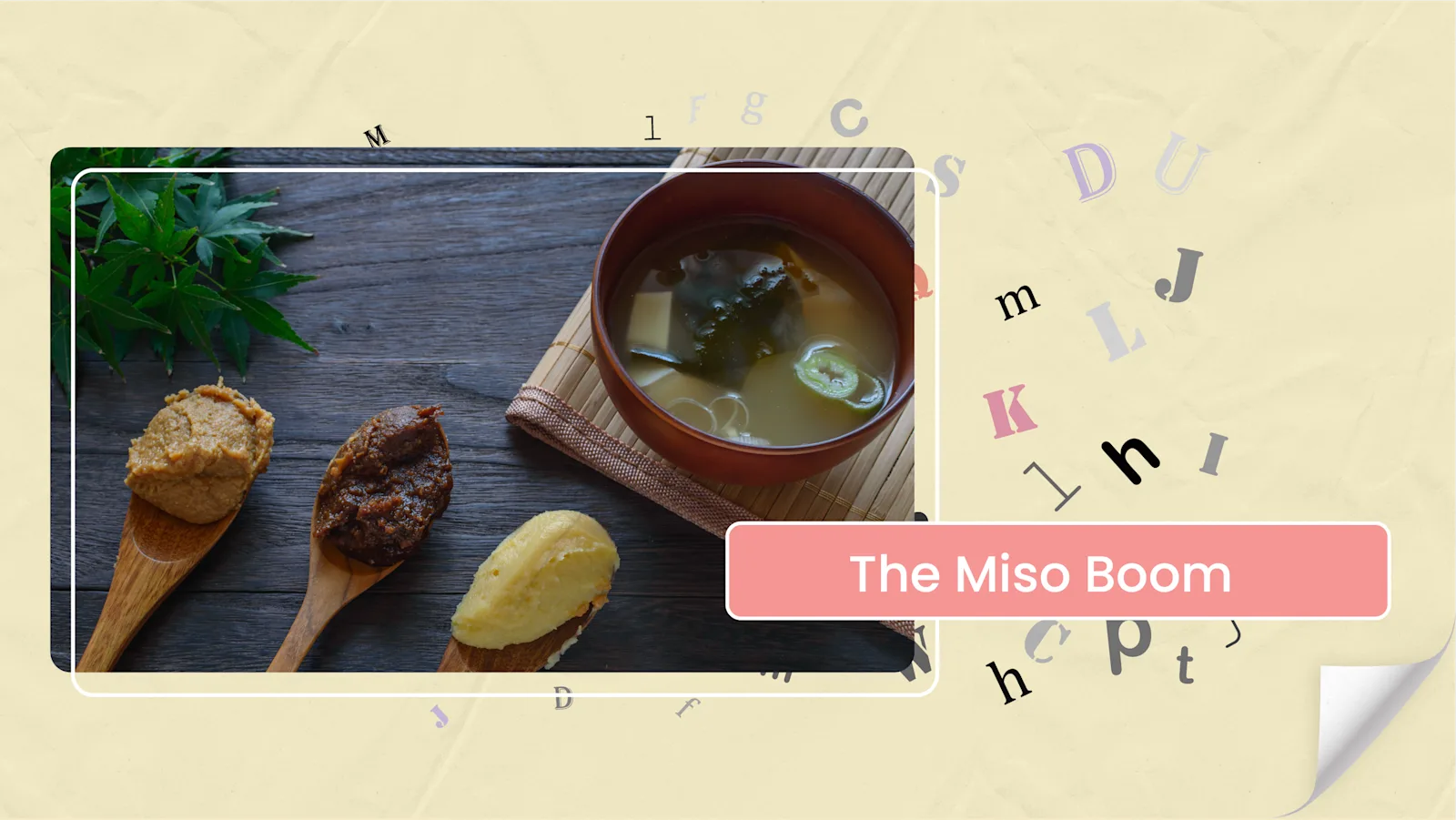 [E] The Miso Boom