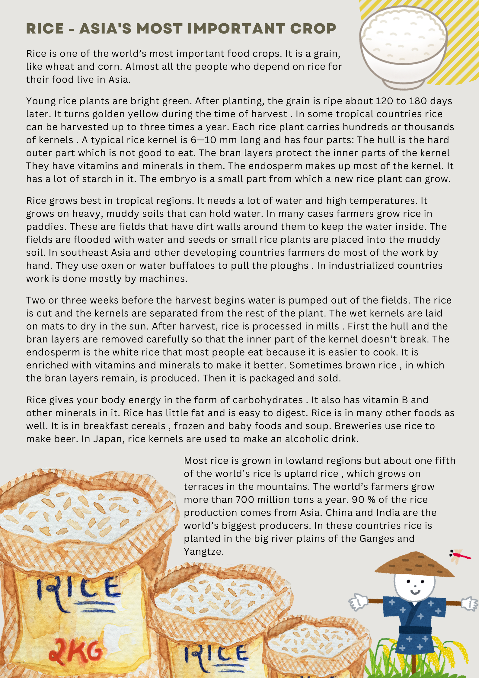 The Reading Edge_Rice - Asia's Most Important Crop