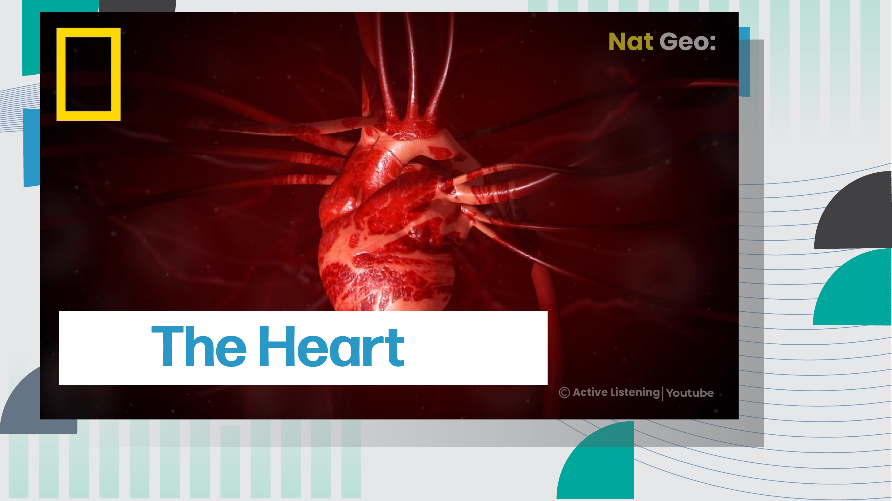 [D] NatGeo: The Heart