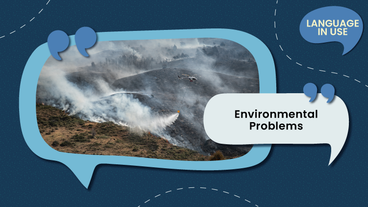 [C] Environmental Problems I