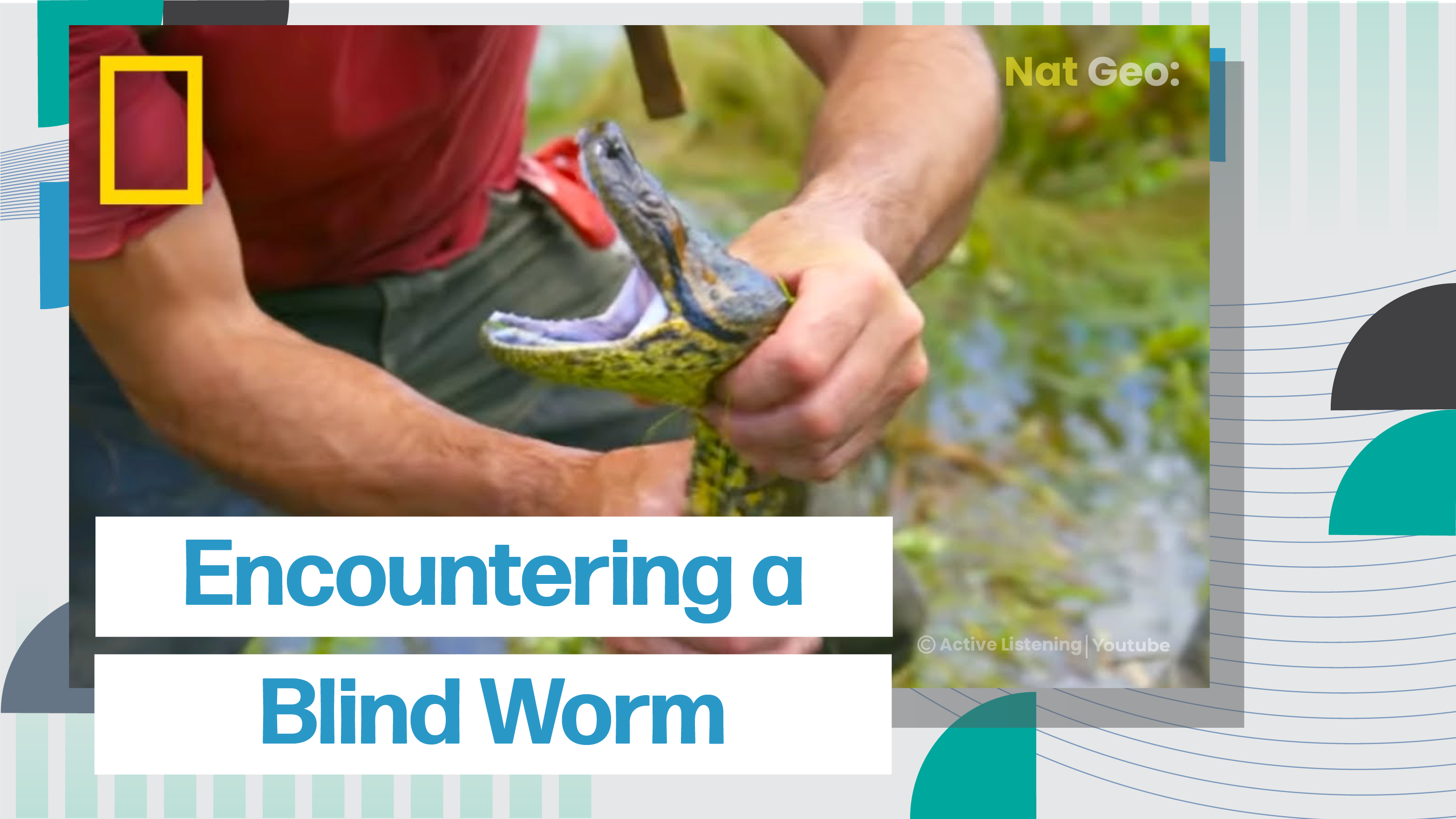 [D] NatGeo: Encountering a Blind Worm Snake