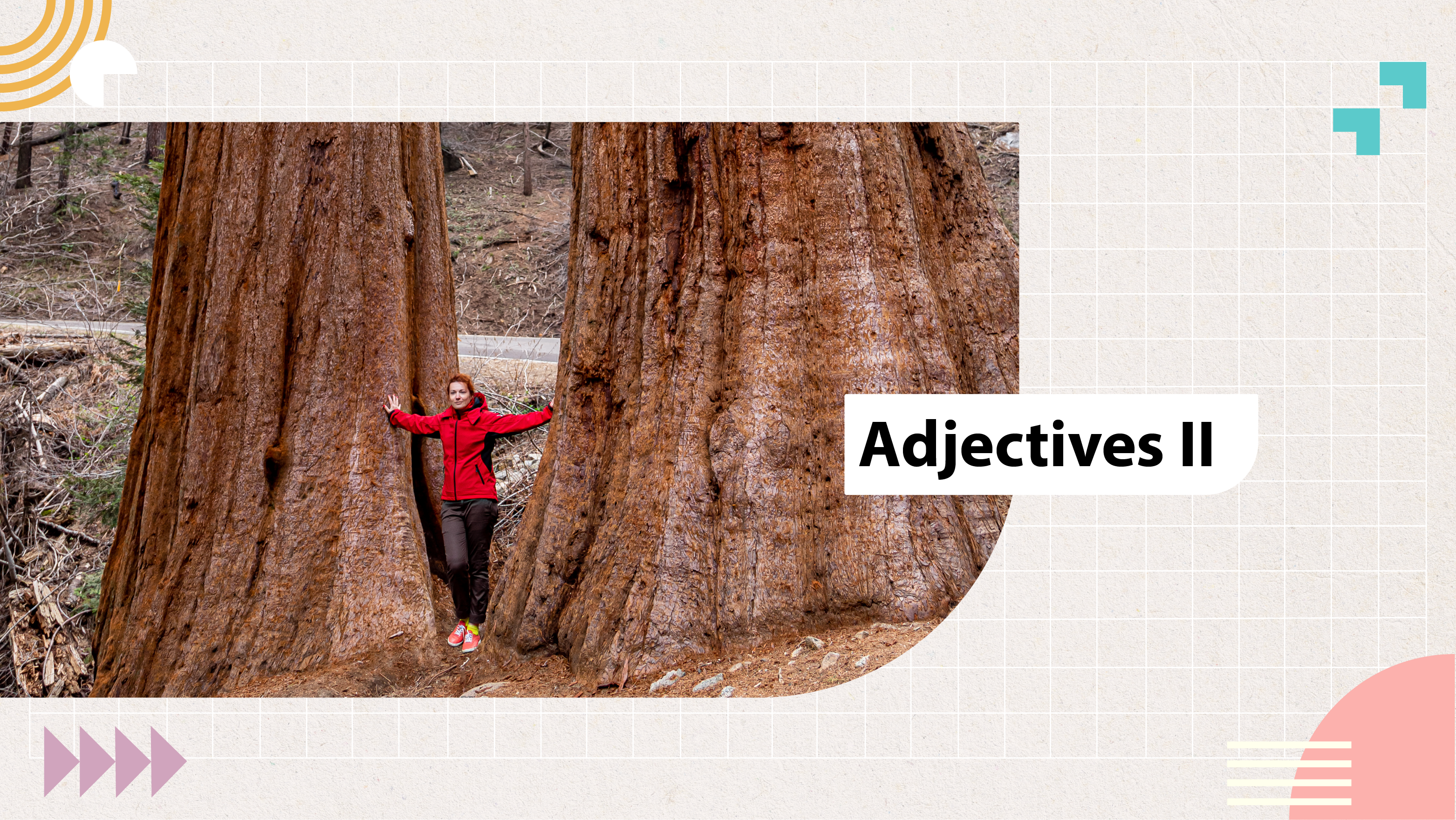 [D] Adjectives II