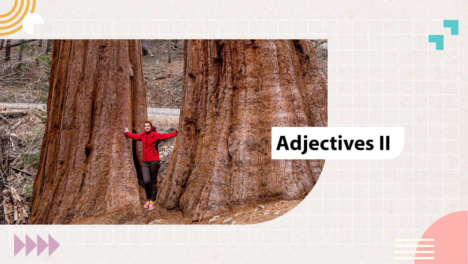 [D] Adjectives II