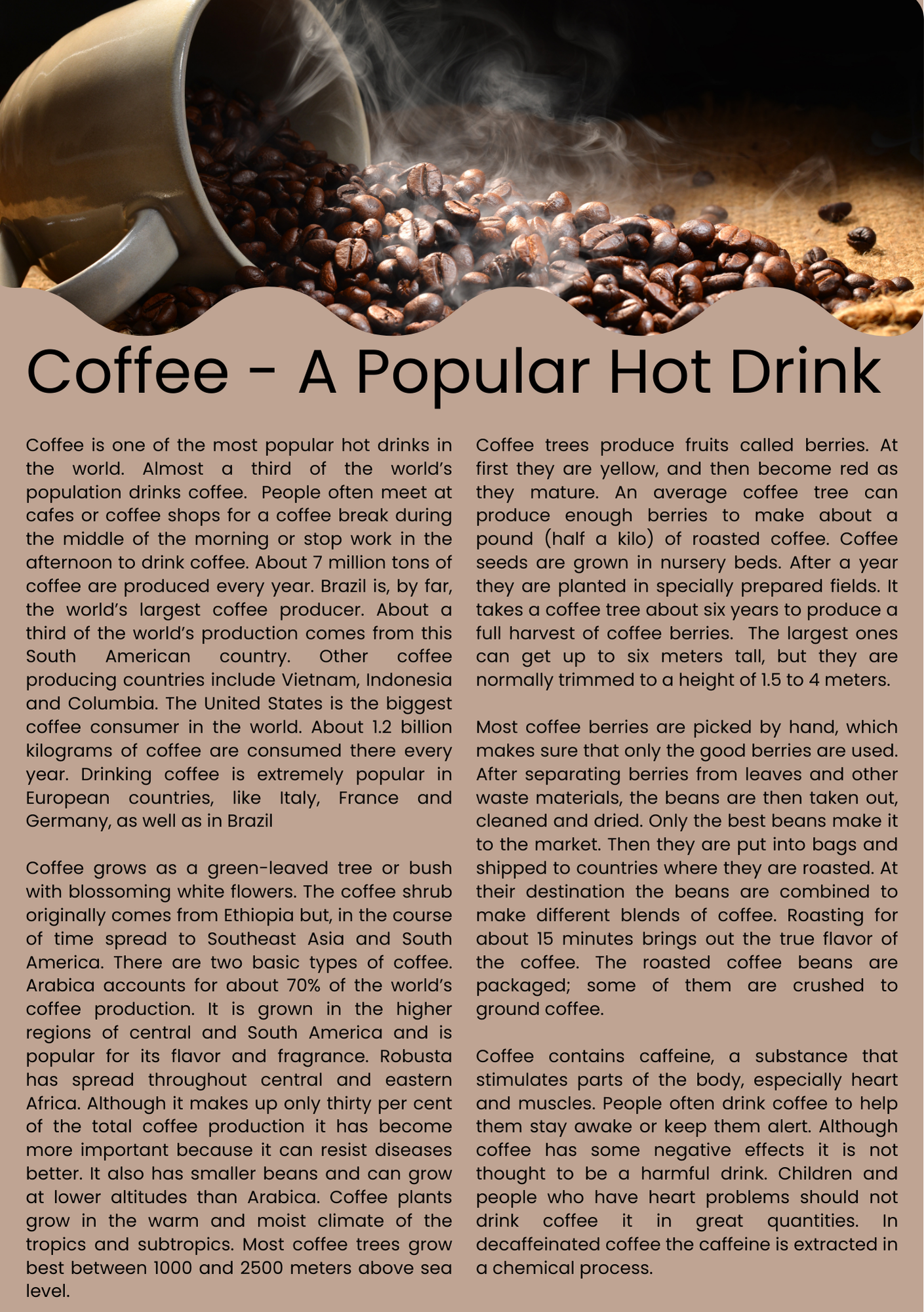 Coffee - A Popular Hot Drink