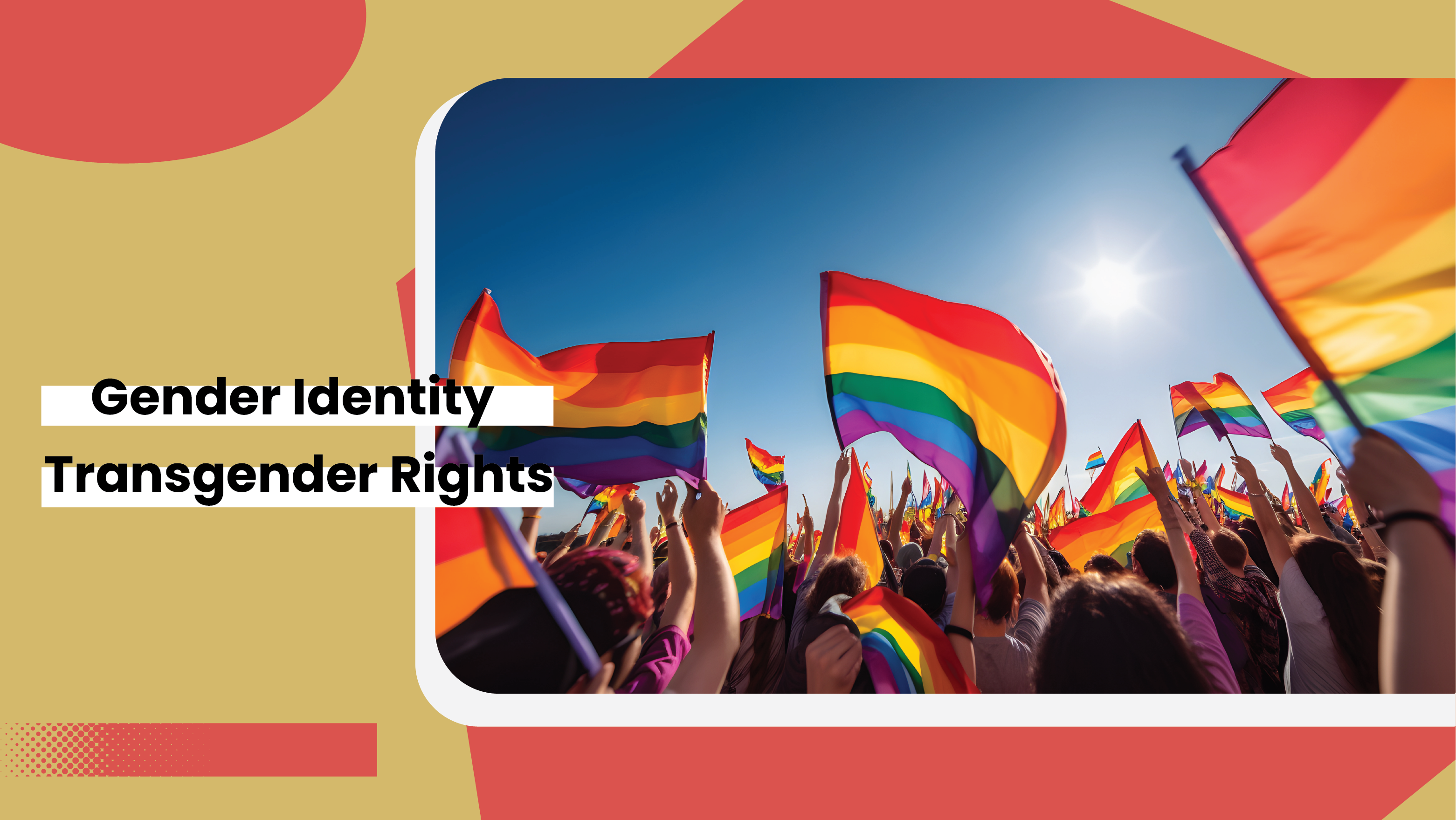 Gender Identity and Transgender Rights