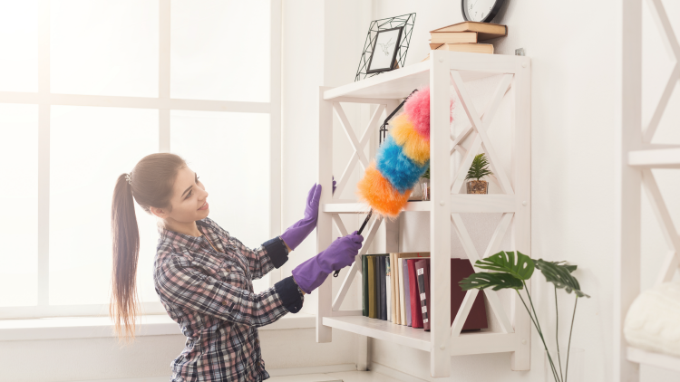 Dusting the bookshelf