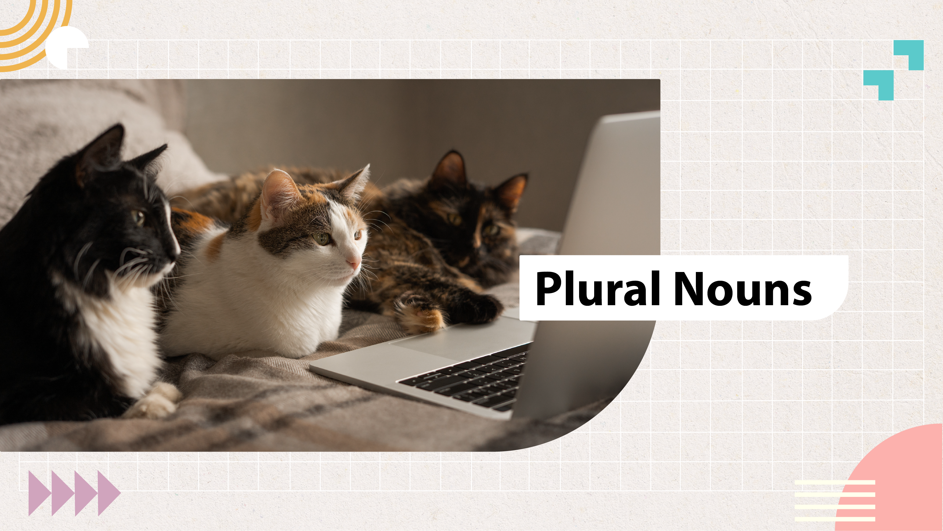 [F-E] Plural Nouns