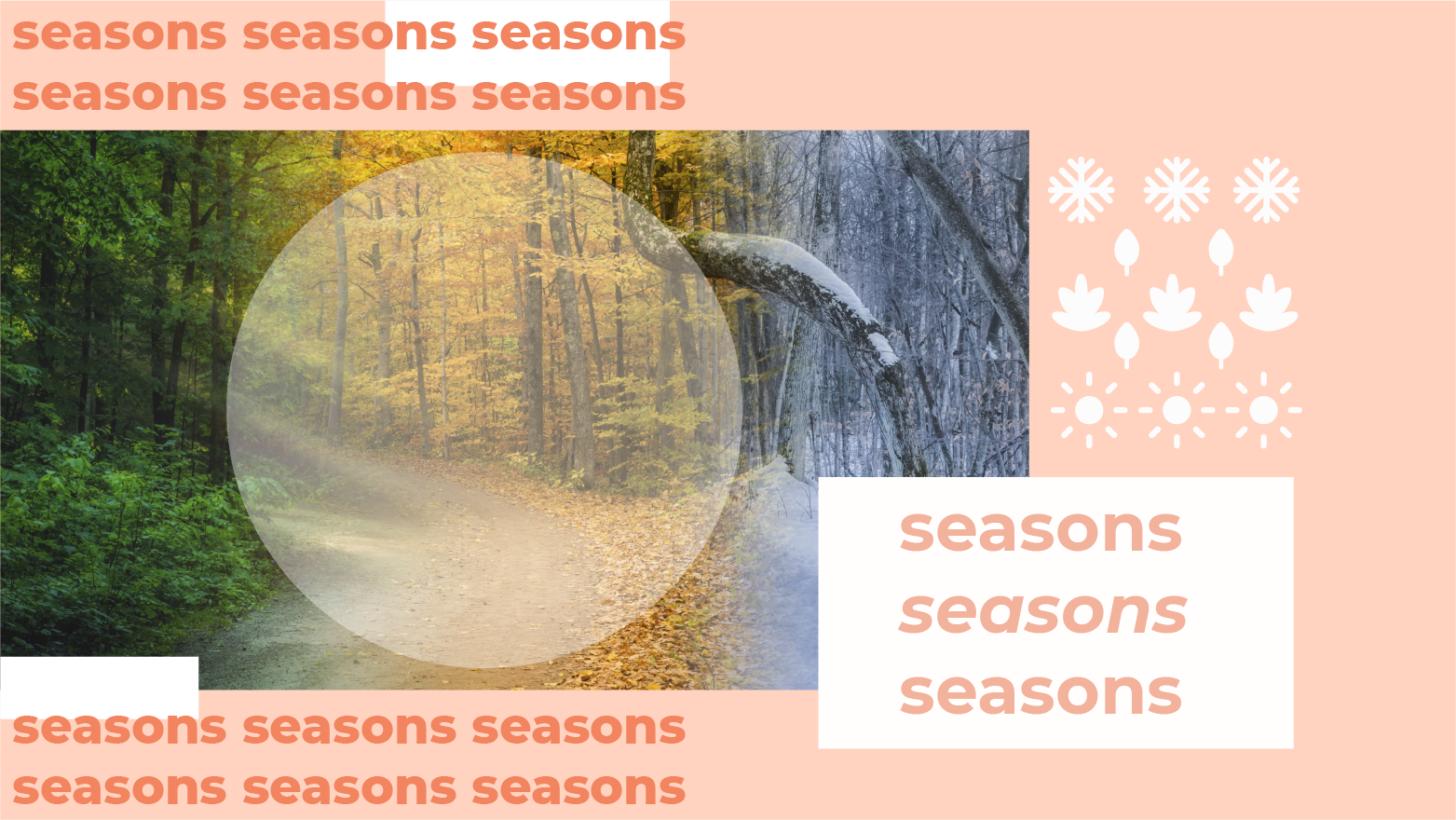 [F-D] Seasons