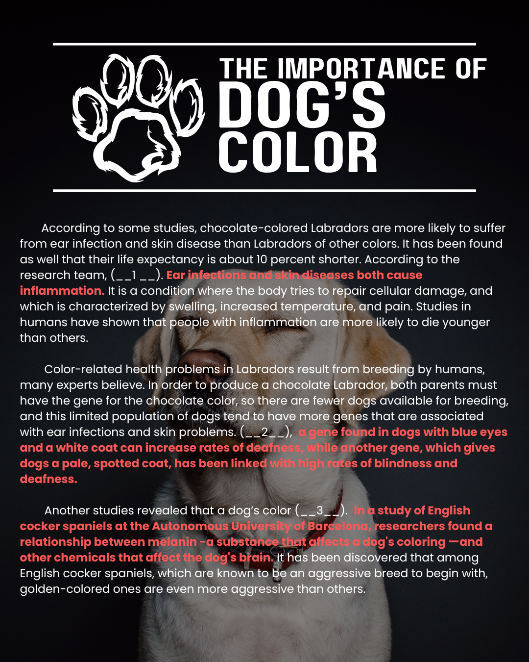 2024-EIKEN-READING L4