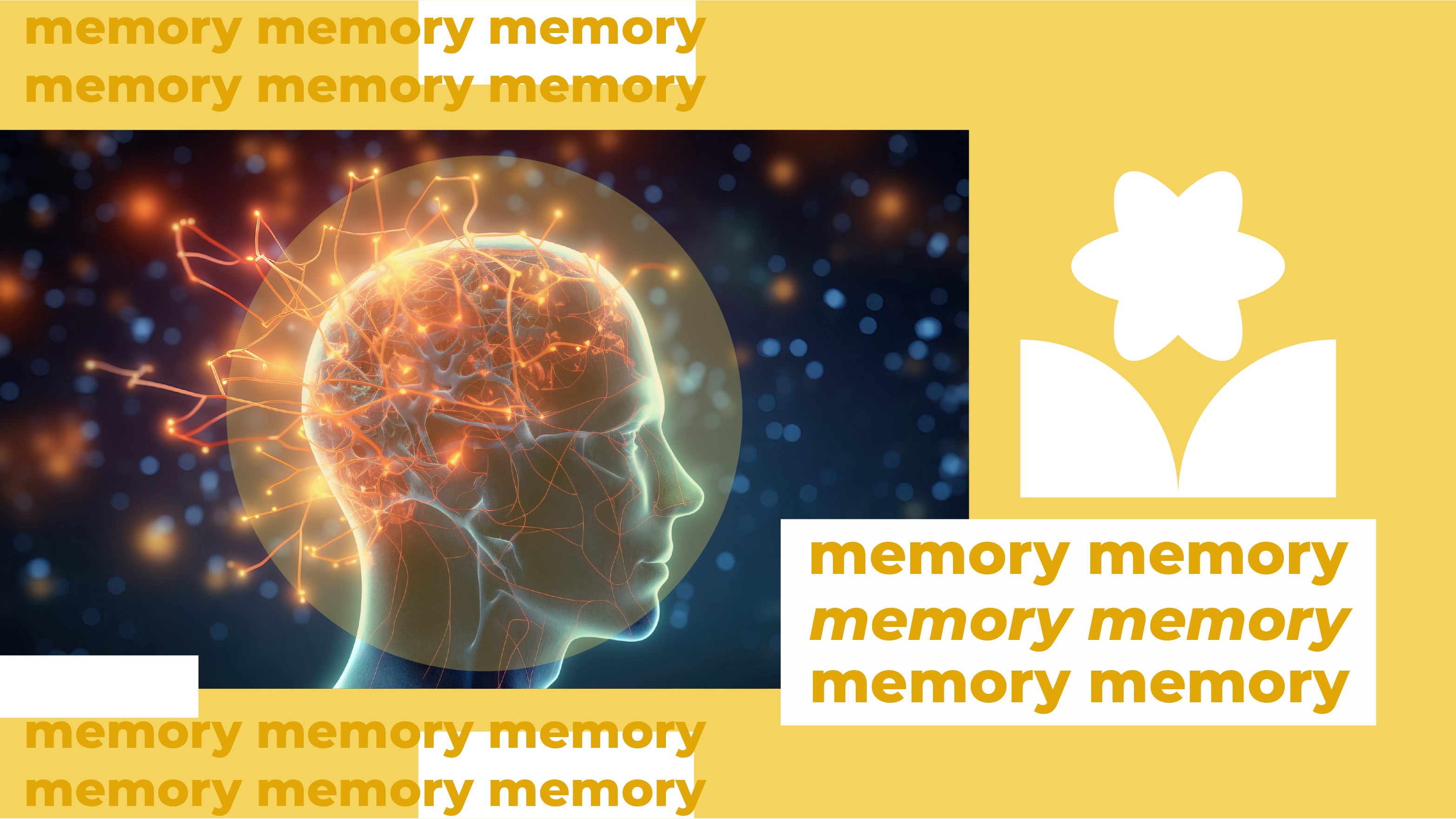 [C-A] Memory