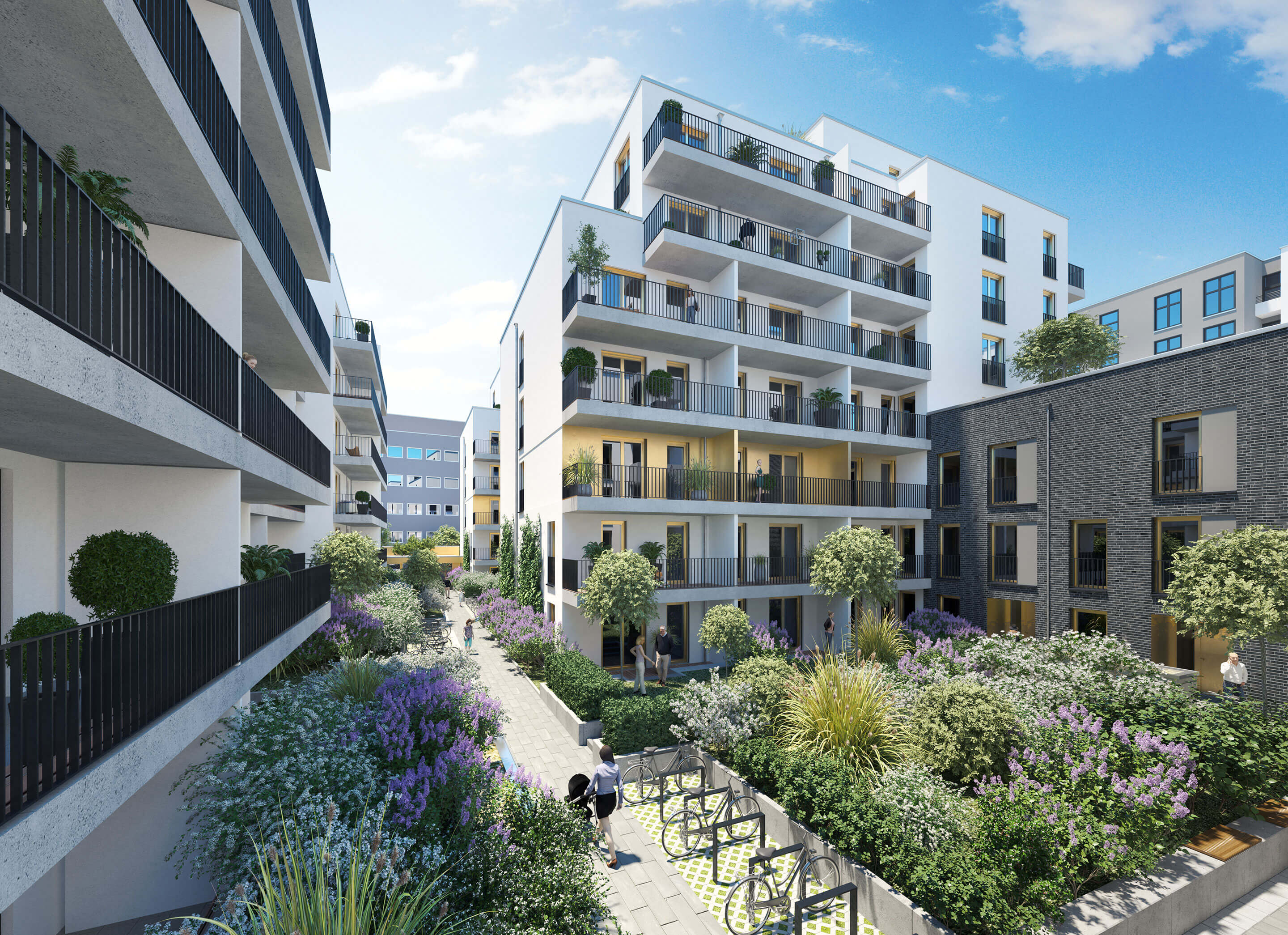  Image: Green inner courtyard of the Kuhlio residential area in Frankfurt a. Main