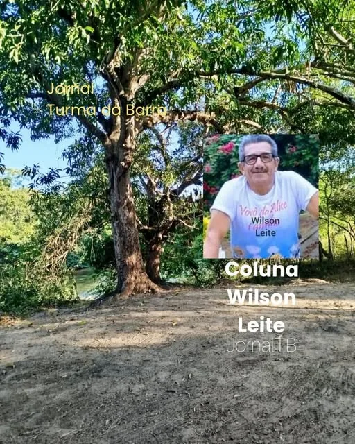 Coluna do Wilson Leite: Como eram os piqueniques na década de 60?