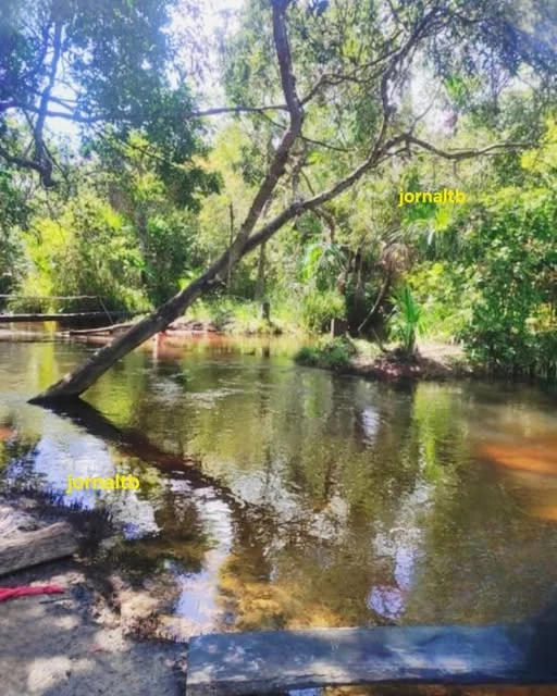 Foto enviada ao TB por Cícero Tavares