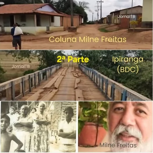 Milne Freitas é cronista, mora em Palmas (TO)
