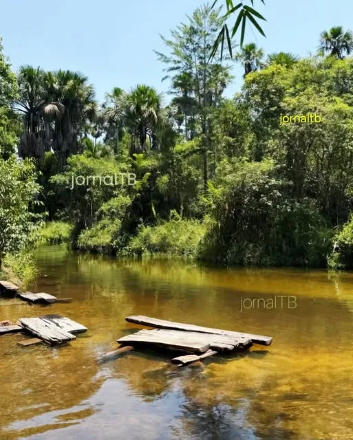 Visite o sertão