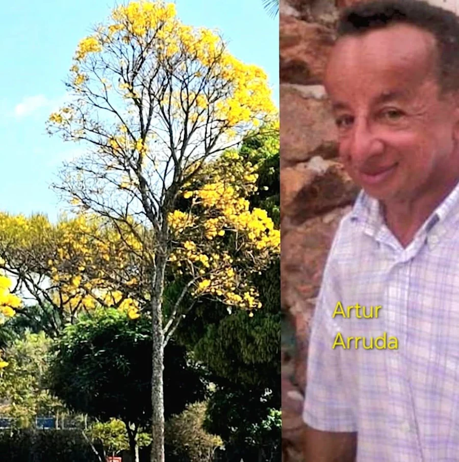Arthur Arruda é professor e poeta. Mora em Barra do Corda (MA)