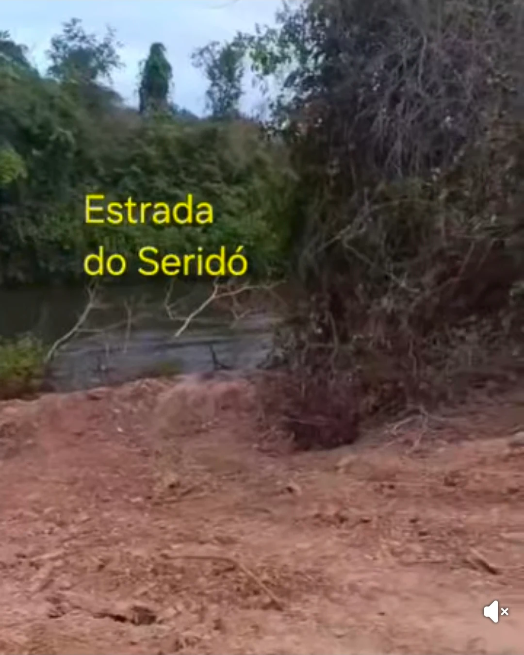 Joel Cunha fez um vídeo de uma clareira aberta na mata ciliar para acessar o rio Mearim.