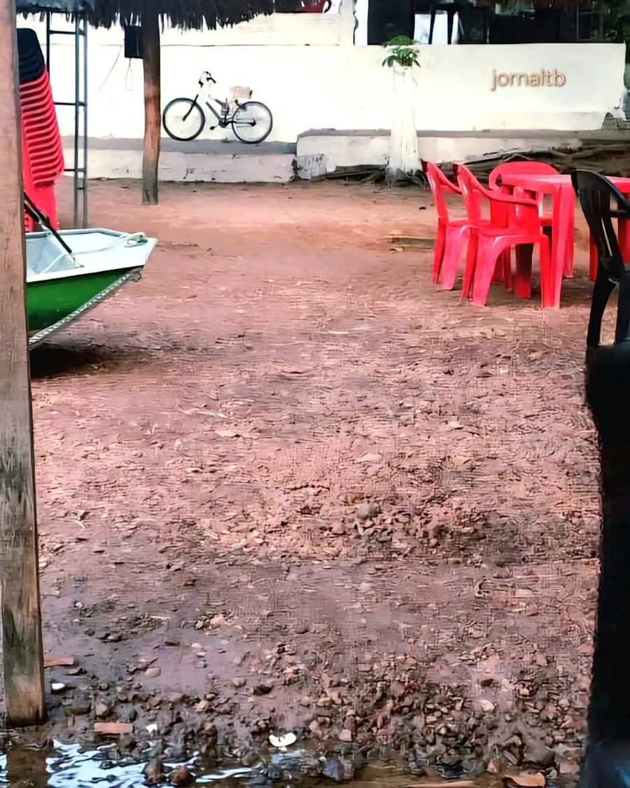 Meio Ambiente