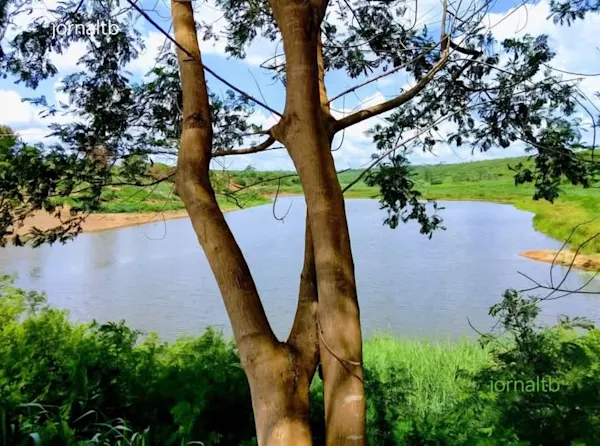 Bela lagoa do Satuba