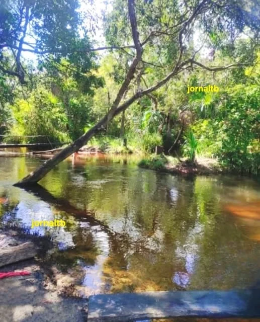 Foto enviada ao TB por Cícero Tavares