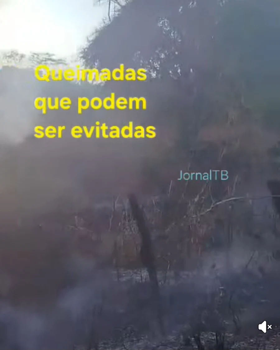 Evite queimadas