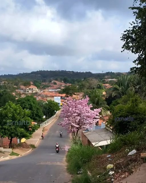 A foto é da Andréa Medeiros