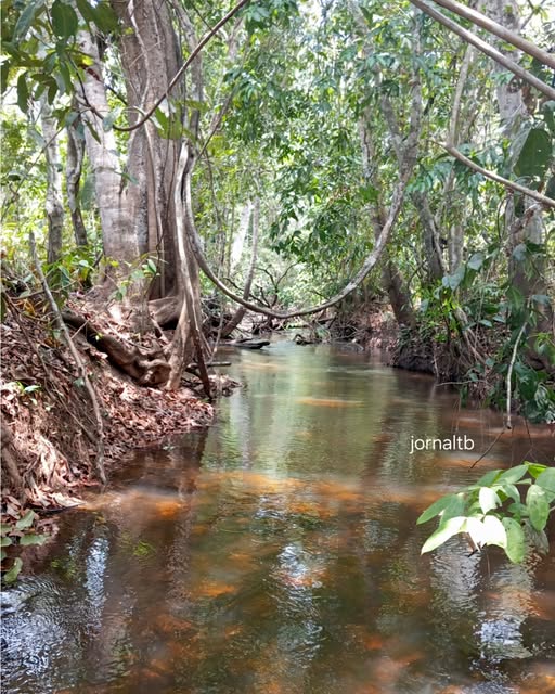 Riacho Enjeitado, foto de Rosildo Sousa