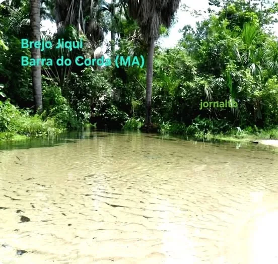 Quem conhece brejo Jiqui?