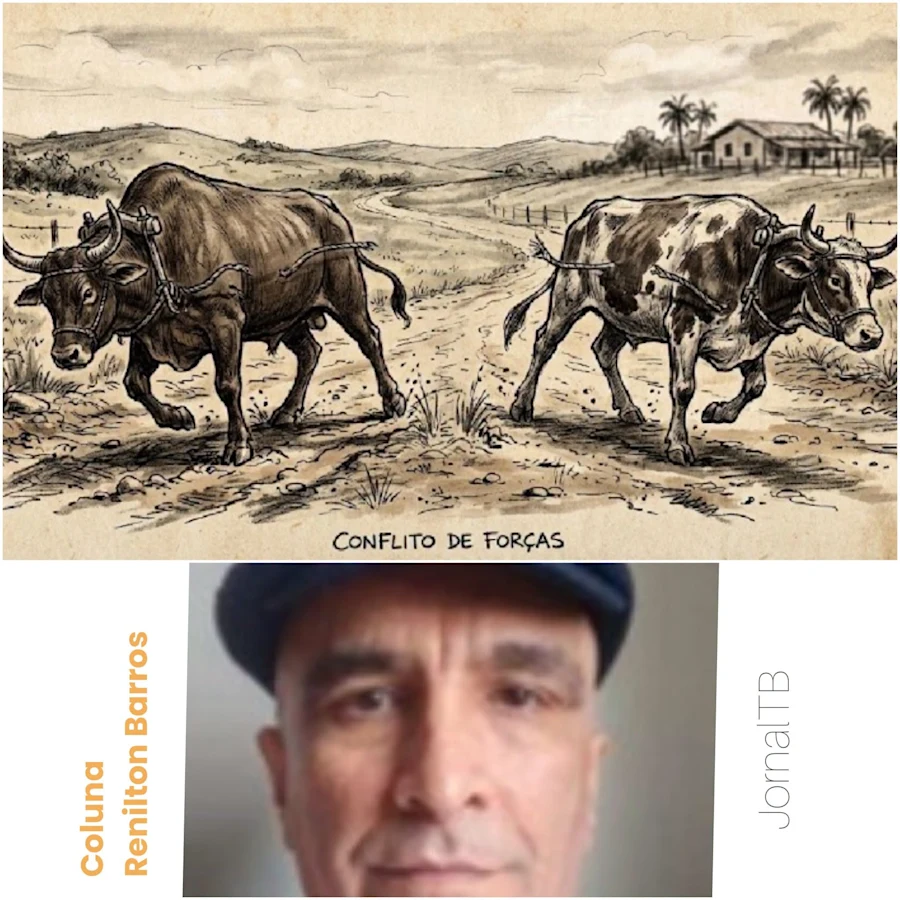 Foto do acervo do cronista