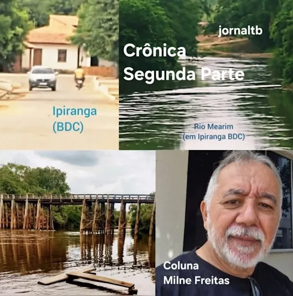 Coluna do Milne Freitas