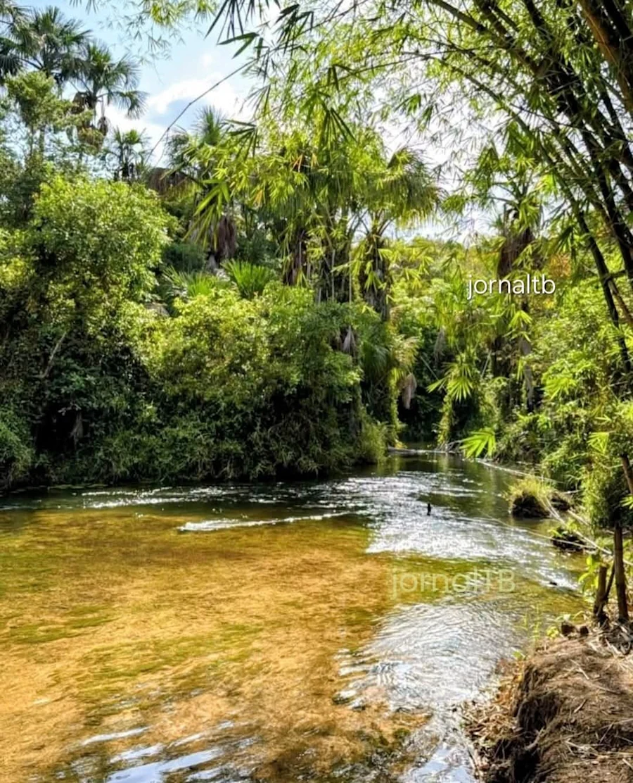 Foto do Eduardo Melo