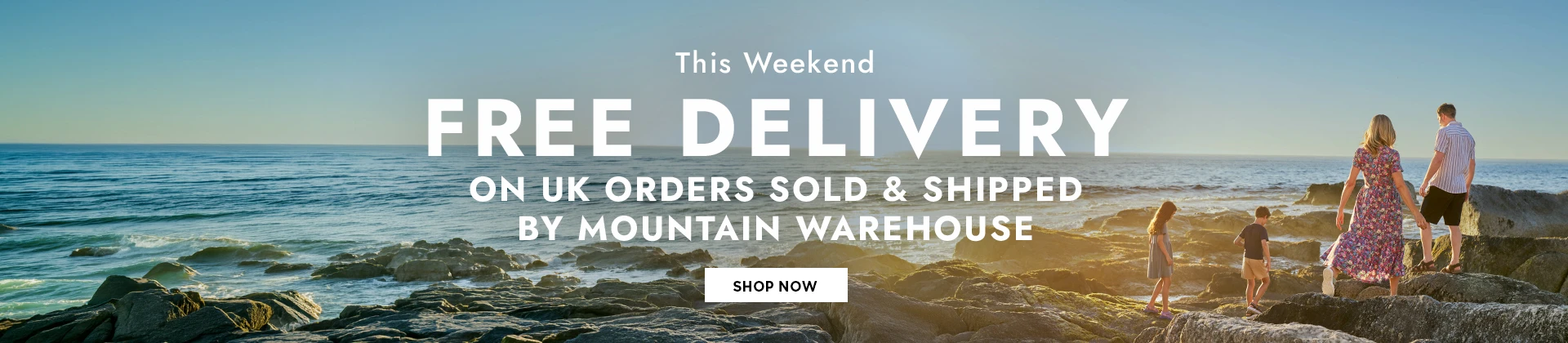 H1: Free Delivery