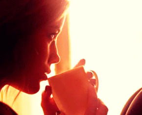 Red Rose Tea: A Lift for the Body and the Mind - Article