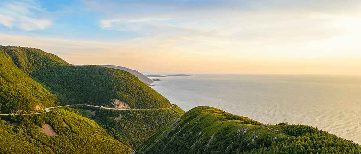 Red Rose - Nos engagements en matière de durabilité environnementale