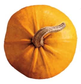 Pumpkin 