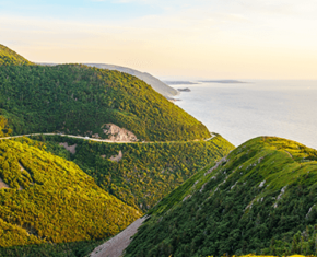 Red Rose L’histoire d’un classique Red Rose