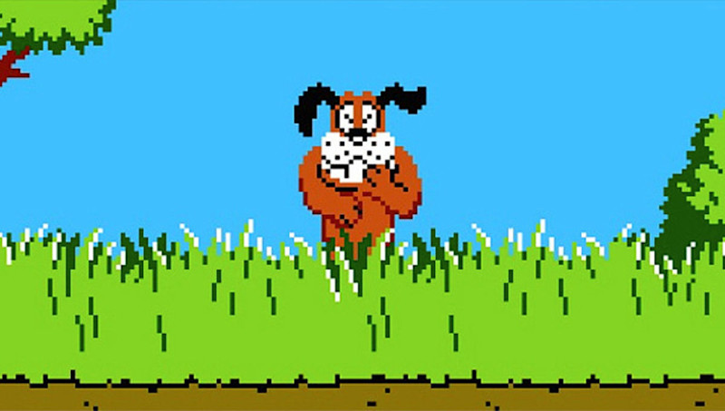 Duck hunt