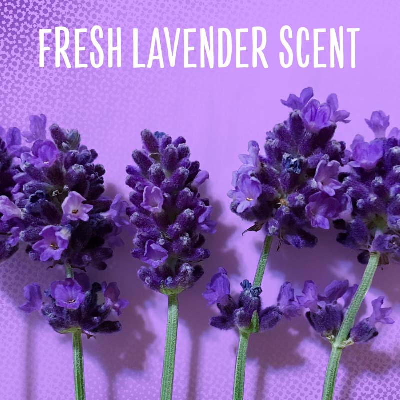 Fresh Lavender Scent