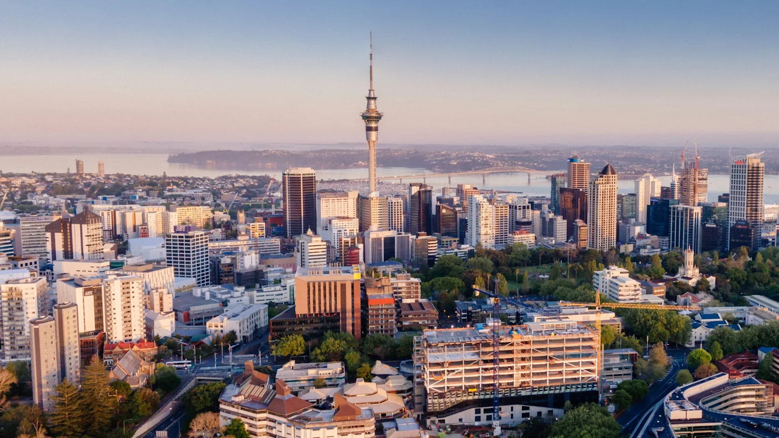 An aerial view of Auckland city under soft, warm light, showcasing the Sky Tower, numerous urban buildings, green spaces, and the Auckland Harbour Bridge in the distance over water.