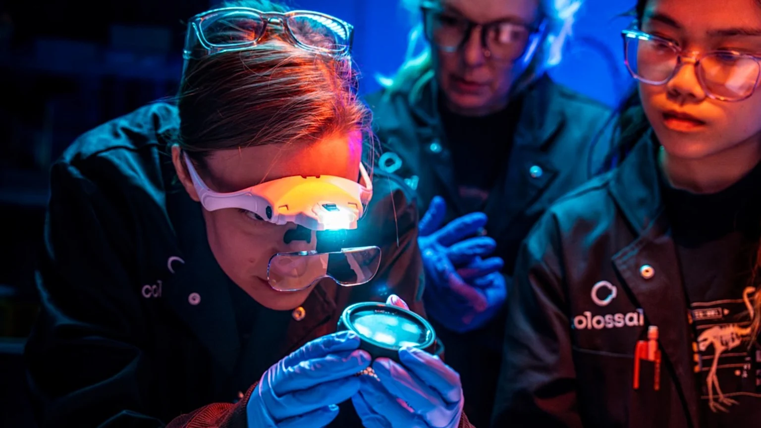Three scientists in a lab with blue and red lighting; one wears a lighted magnifying visor and blue gloves, examining a circular object, while two others in Colossal-branded coats observe.