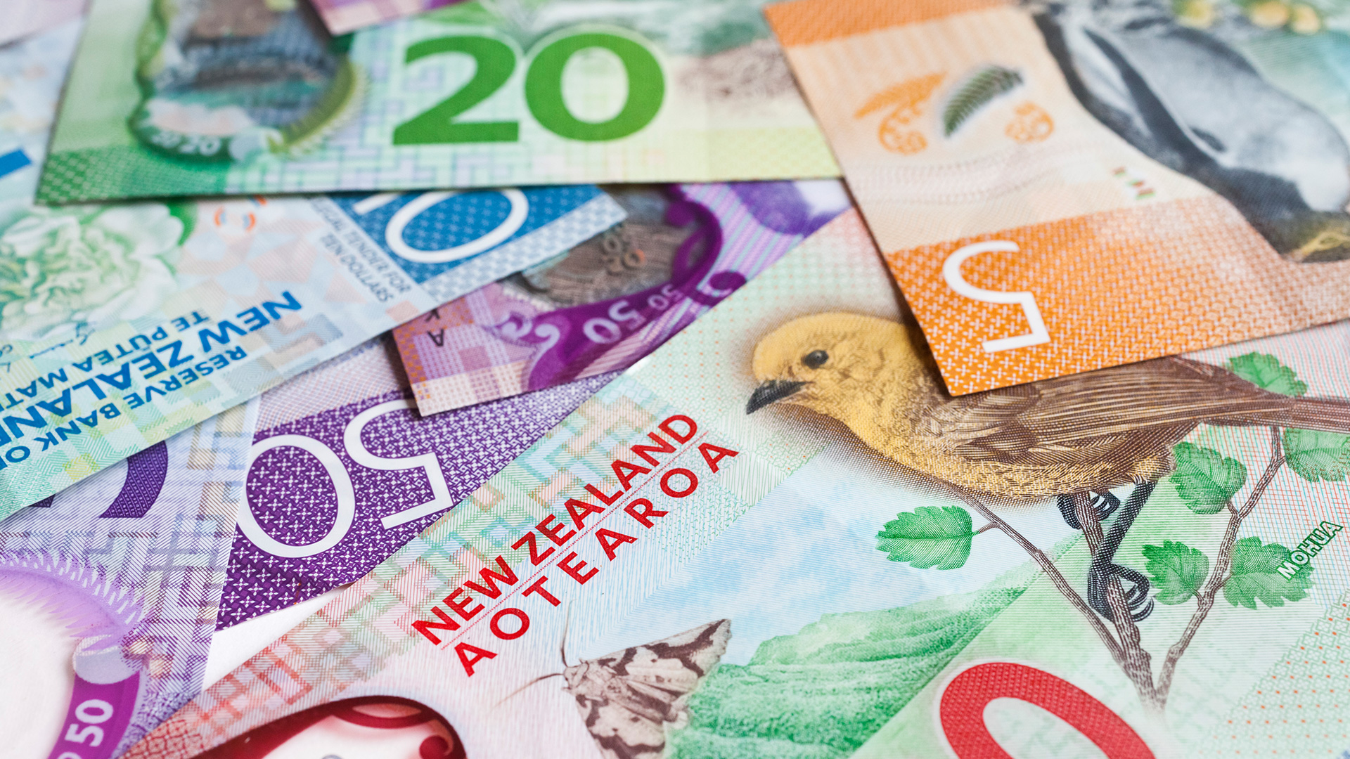 'Baytree' scam: Kiwis reporting hundreds of dollars withdrawn from bank accounts