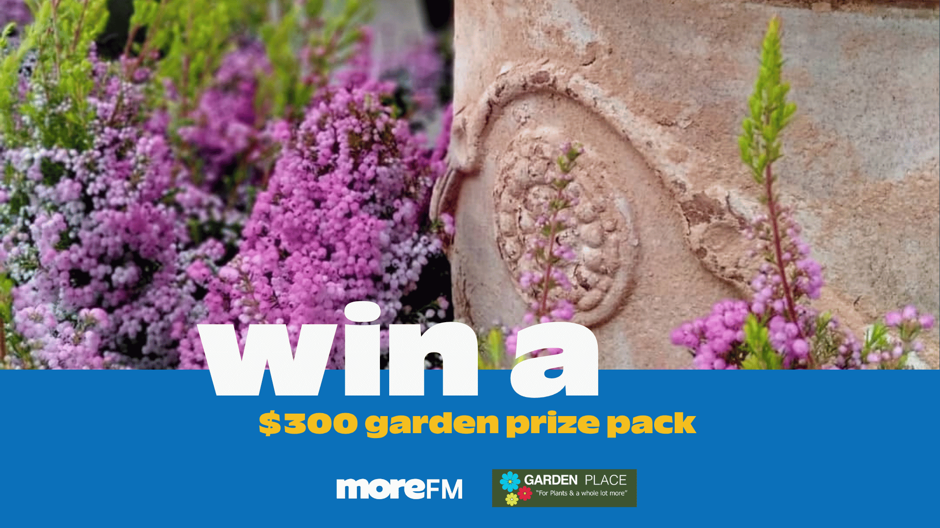 A promotional image featuring a blue banner with white and yellow text reading "win a $300 garden prize pack" and "moreFM" and "GARDEN PLACE" logos, set against a background of vibrant purple flowers and a textured stone ornament.