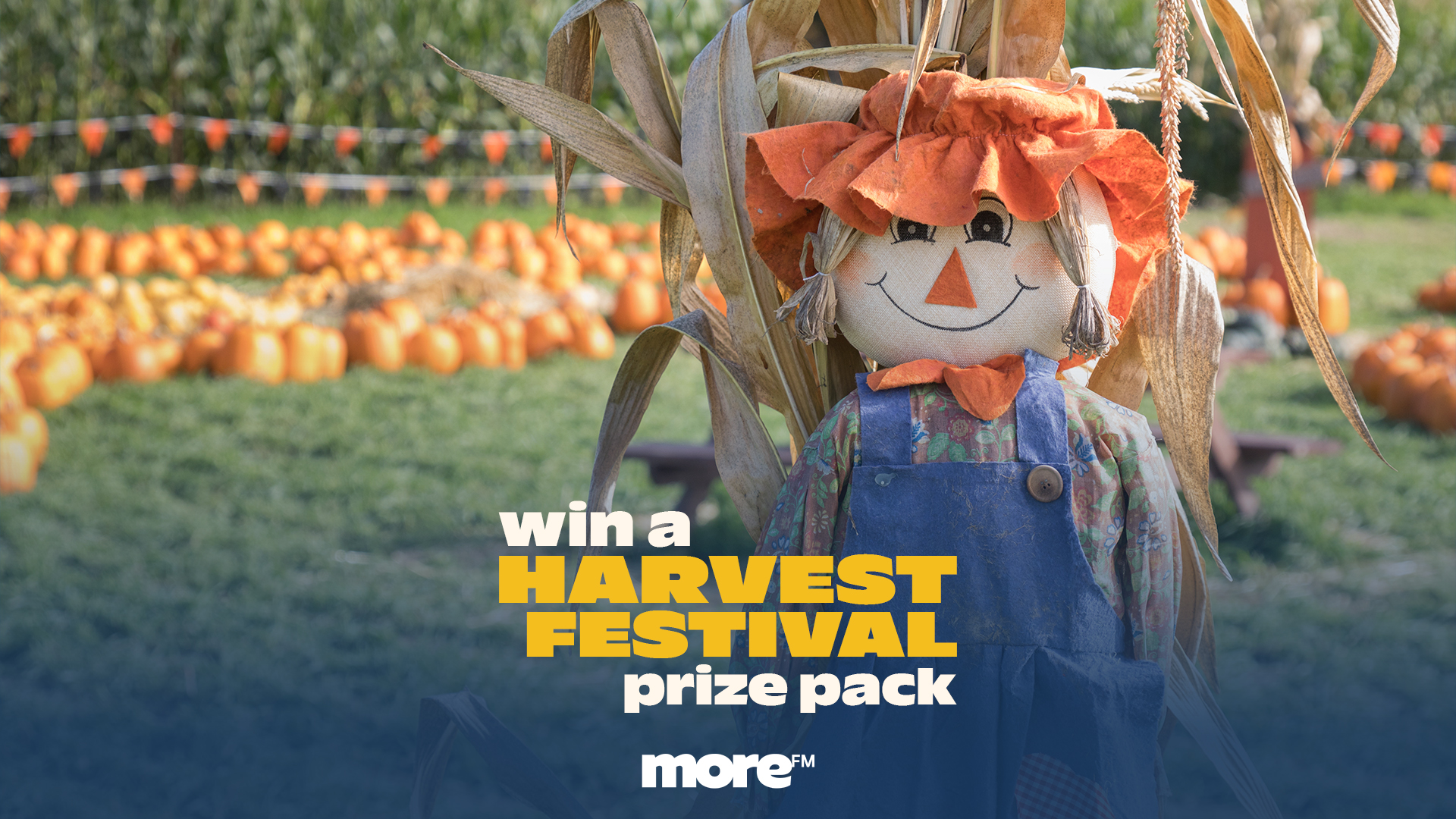 Scarecrow at pumpkin patch. "Win a Harvest Festival prize pack" 