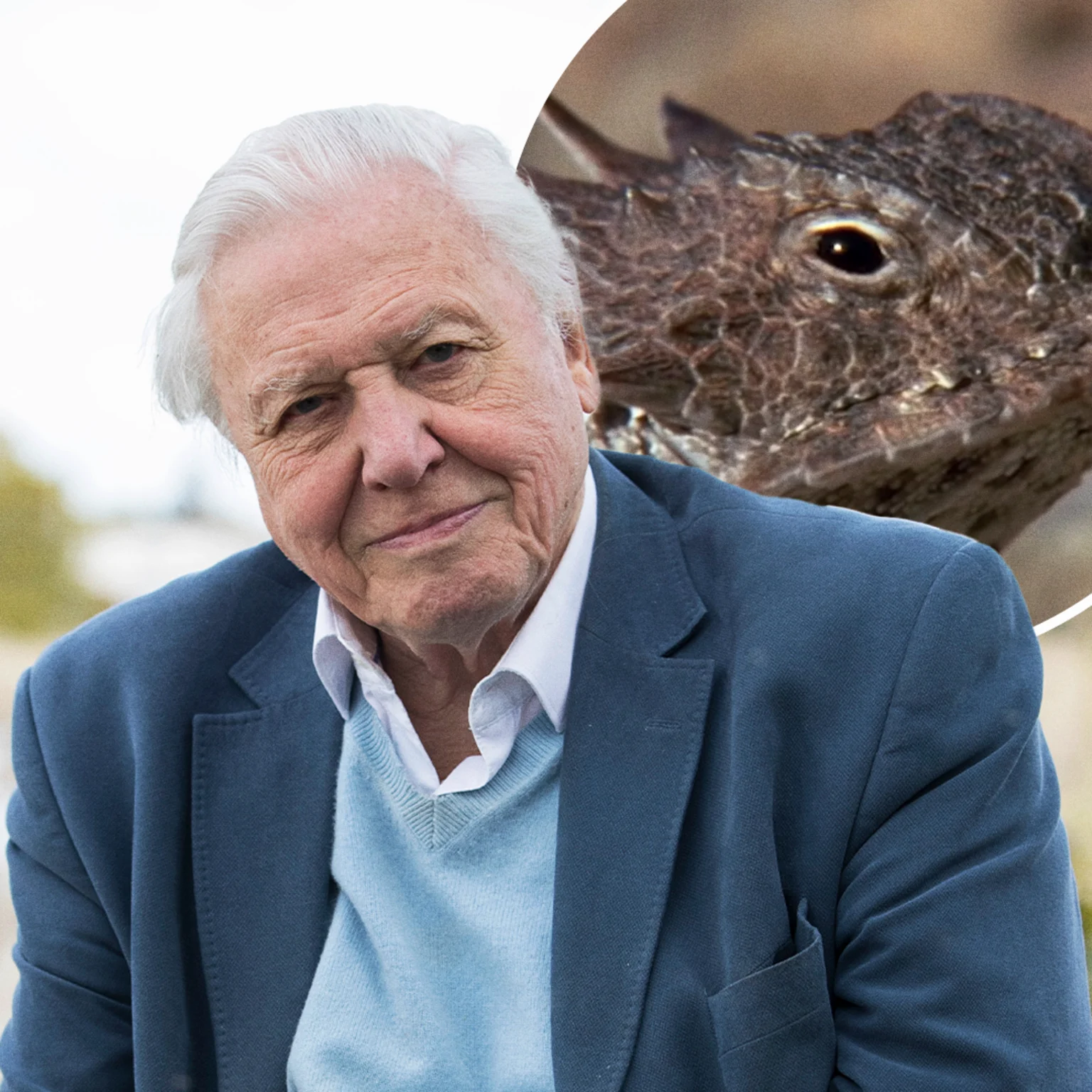 Old Sir David His The Resource Guide: Cultivating Young Naturalists in Seattle