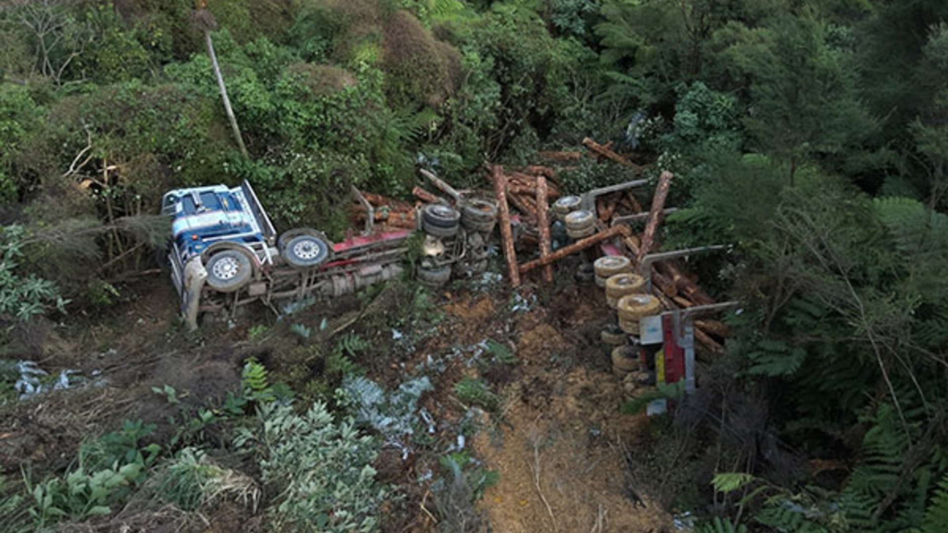 Widow's plea after fatal logging crash: 'Greg's death was preventable'