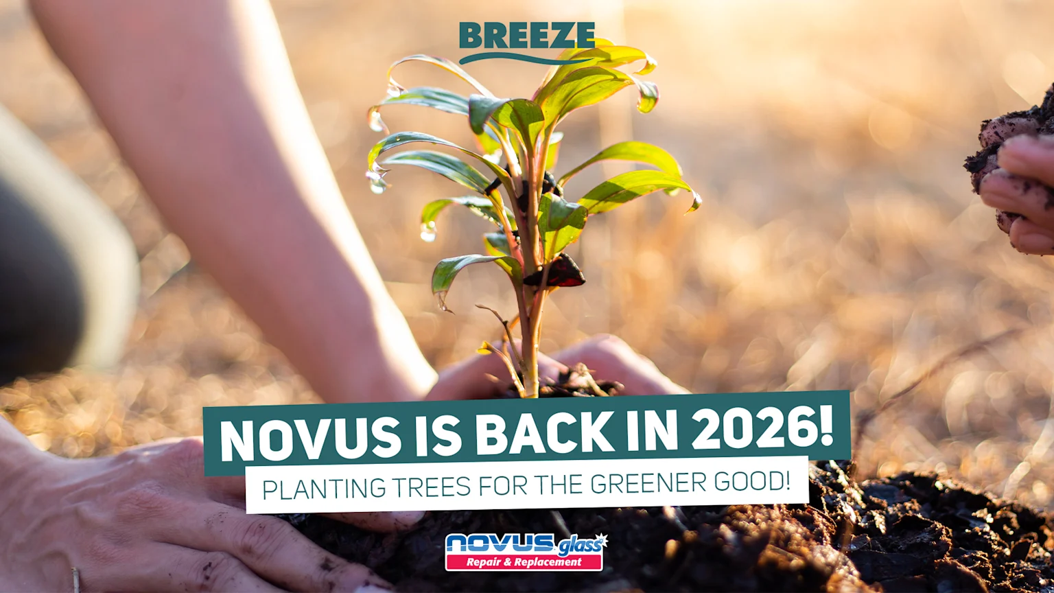 People planting trees. "NOVUS is back in 2026! Planting Trees for the Greener Good!" with the Breeze