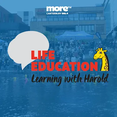 Background image of a duck race, with the Life Education logo centered.