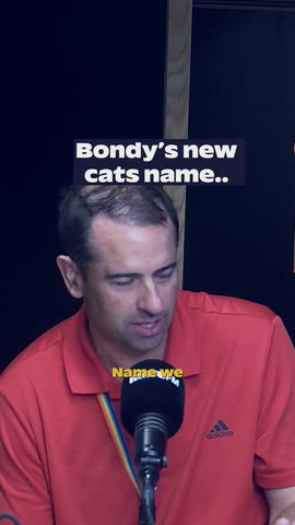 Lana walked Si into it